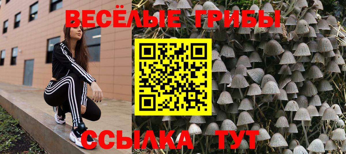 Псилоцибиновые грибы GOLDEN TEACHER  Галлюциногенные грибы GOLDEN TEACHER  Елабуга  Вход с VPN 